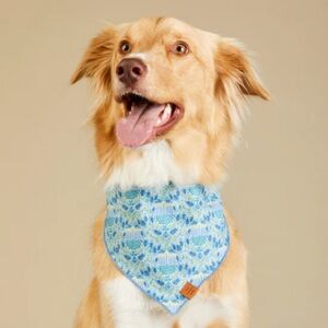 Dog Bandana by Foggy Dog - Flora Menorah Hanukkah